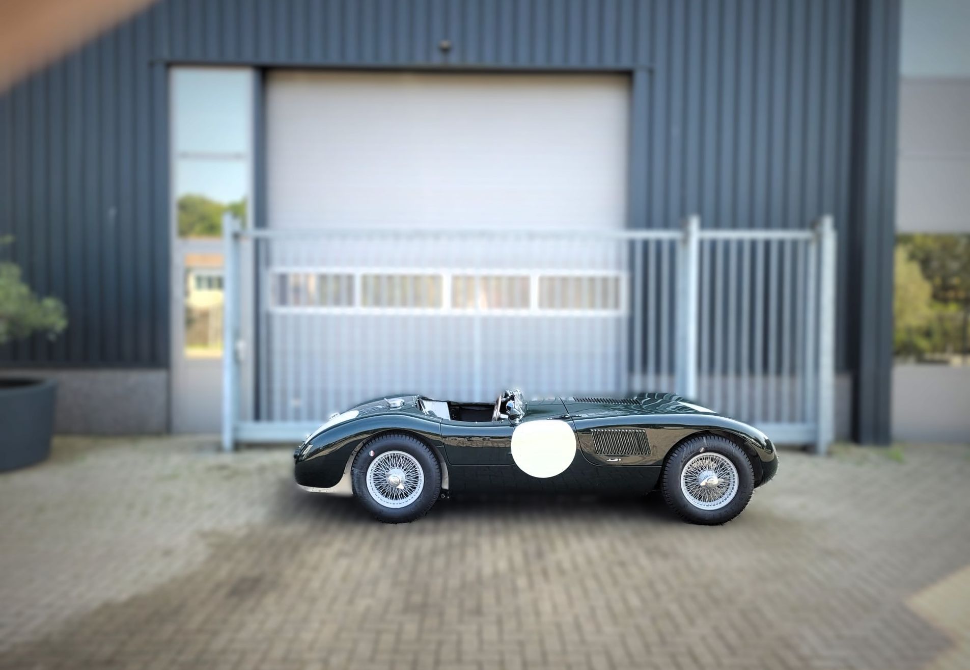 Jaguar C-type replica