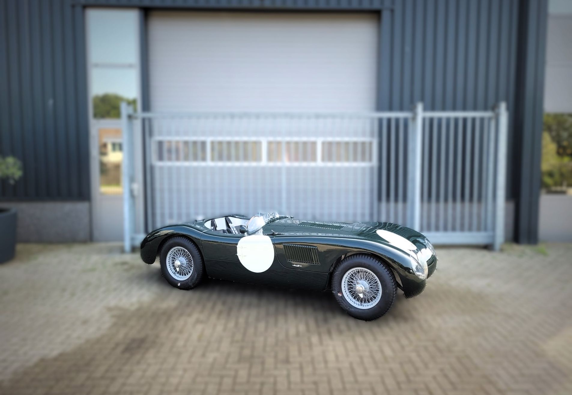 Jaguar C-type replica