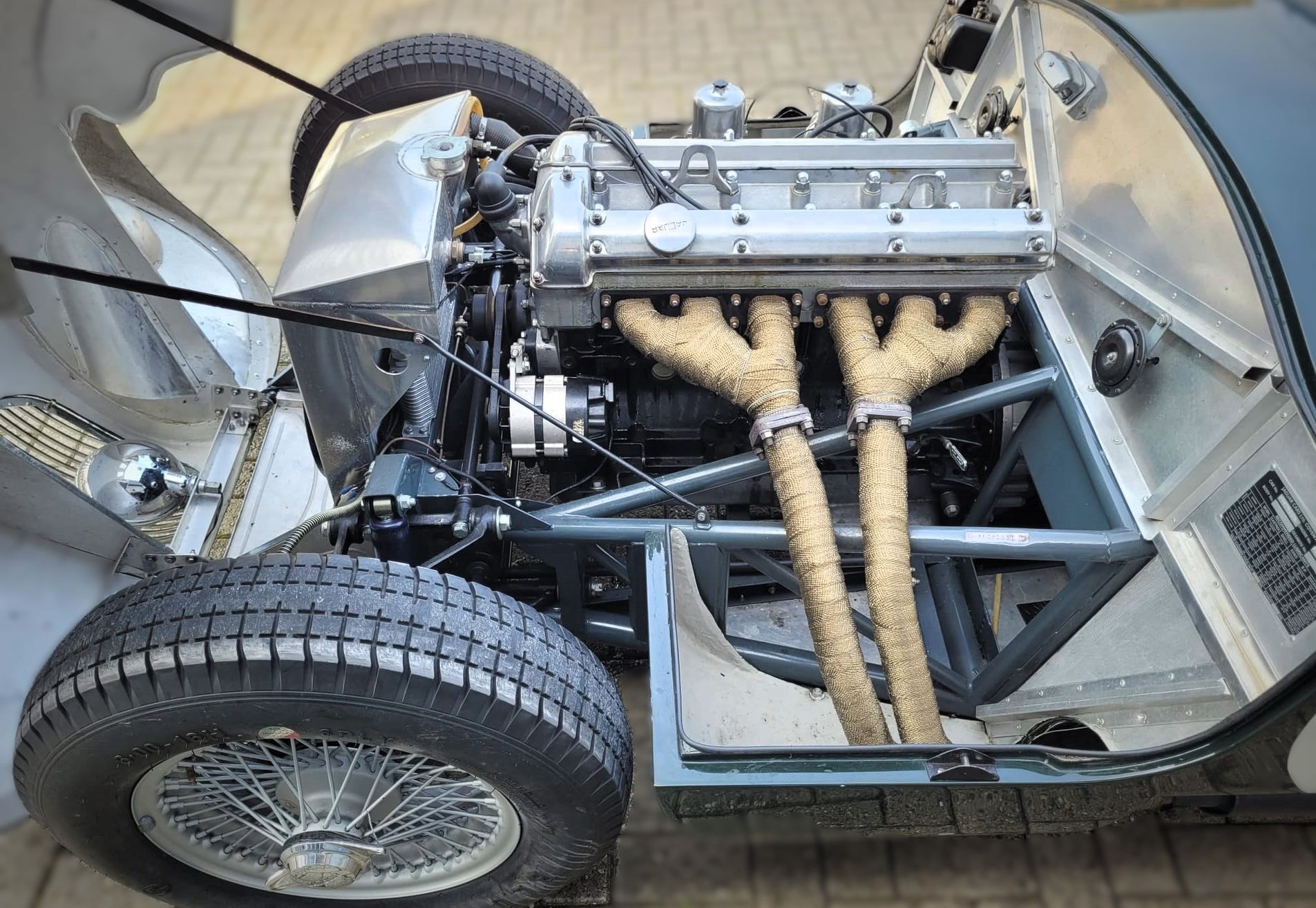 Jaguar C-type replica